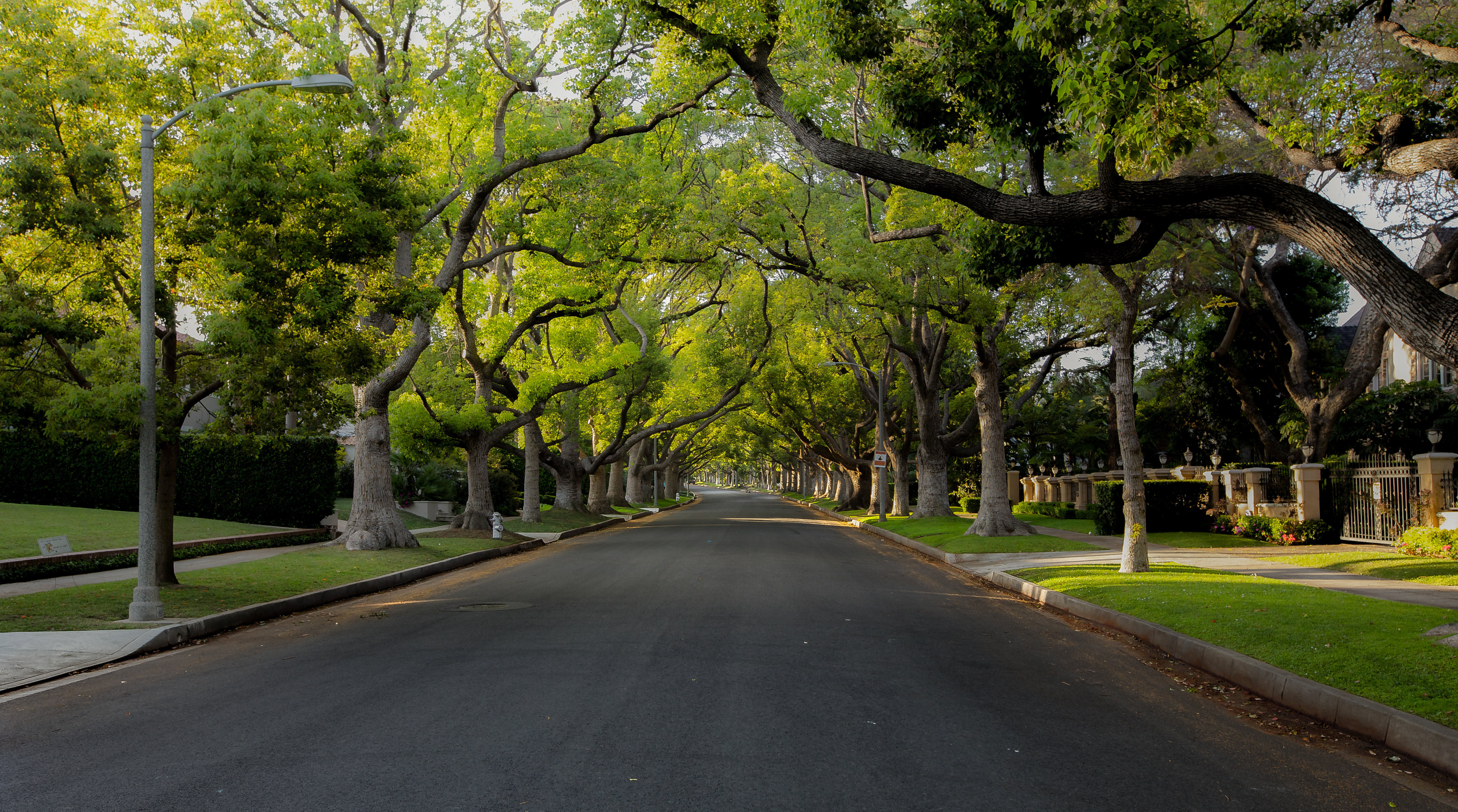 Luxury wine cellars in Bellaire